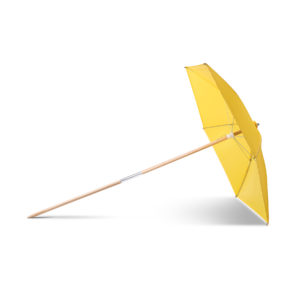 Umbrella, Economy